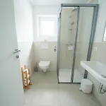 Seekind Reifnitz